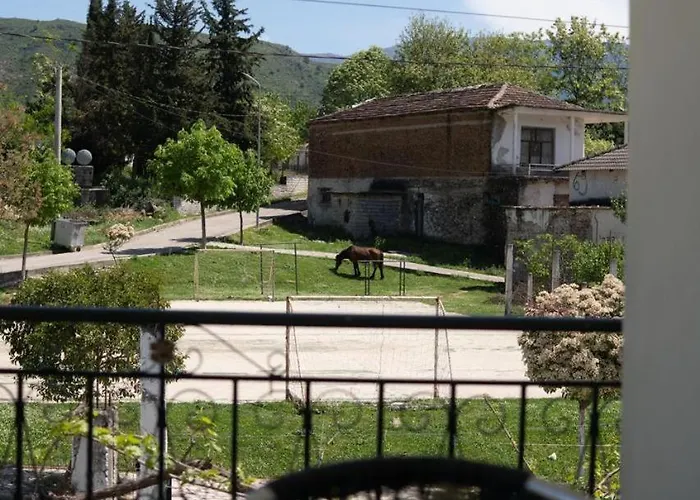 Center Village * Asim Zeneli